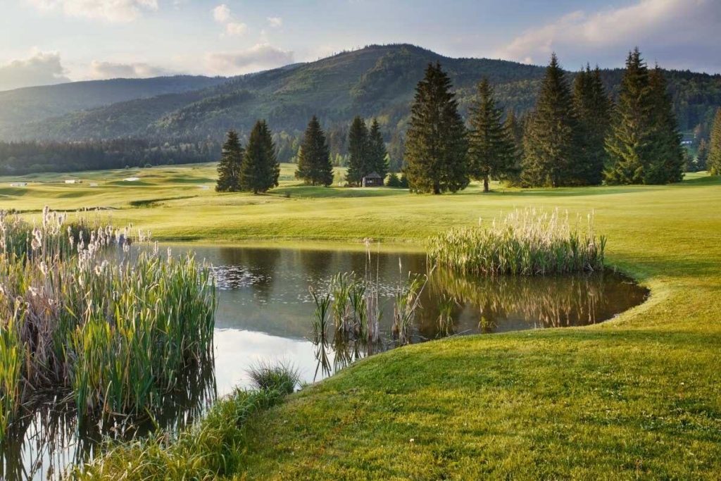 Golf v Táloch